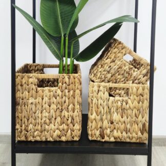 Canasto Jacinto 2119