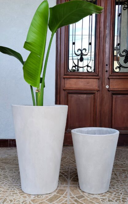 Cono