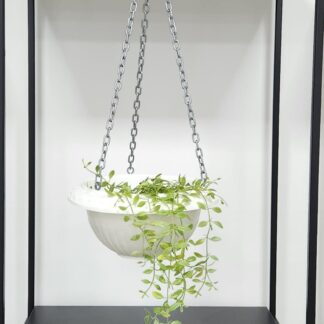 Porta Bols con Cadena BERUPLAST