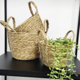 Canasto Seagrass 2726