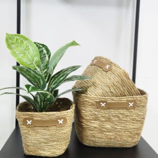 Canasto Seagrass 2061