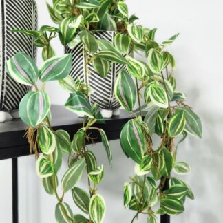 Planta 220
