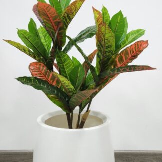 Planta 200