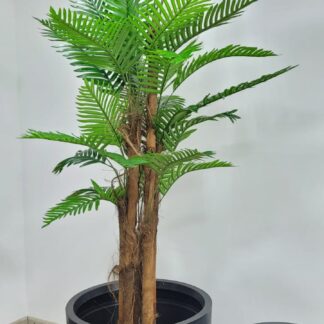 Planta 237