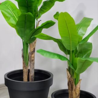 Planta 130