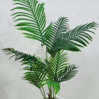 Planta 165