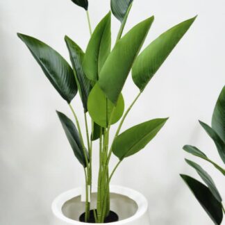 Planta 140