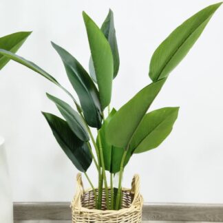 Planta 143