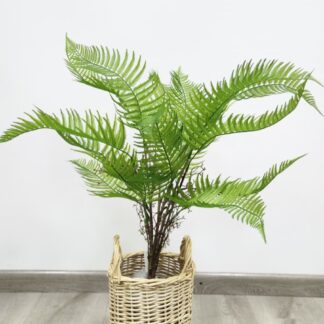 Planta 208