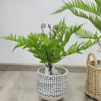 Planta 207