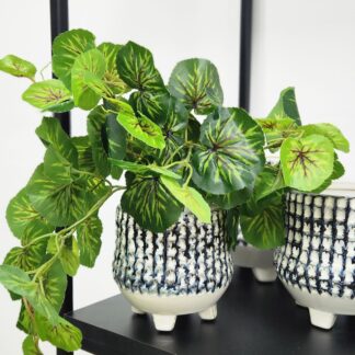 Planta 160