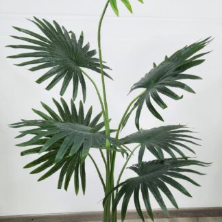 Planta 321