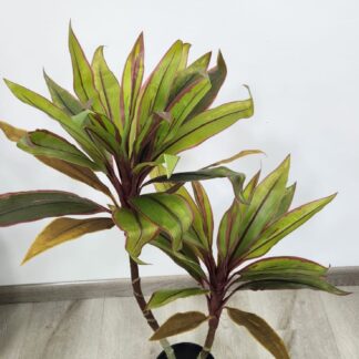 Planta 499