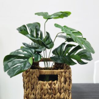 Planta 133
