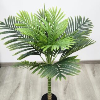 Planta 209