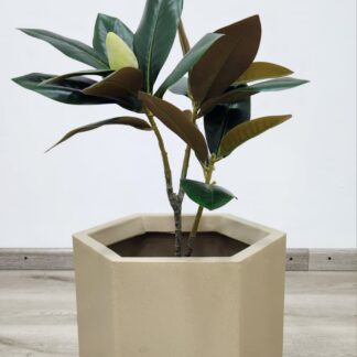 Planta 102